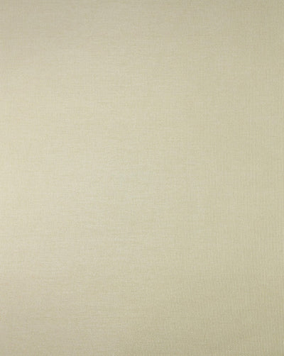 PLAIN CANVAS FABRIC