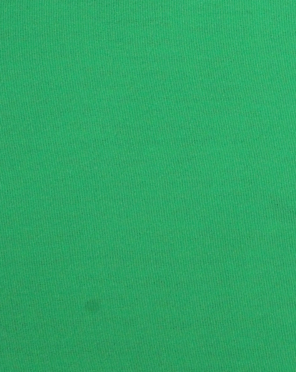 Plain Green 2 Lazer Georgette Fabric