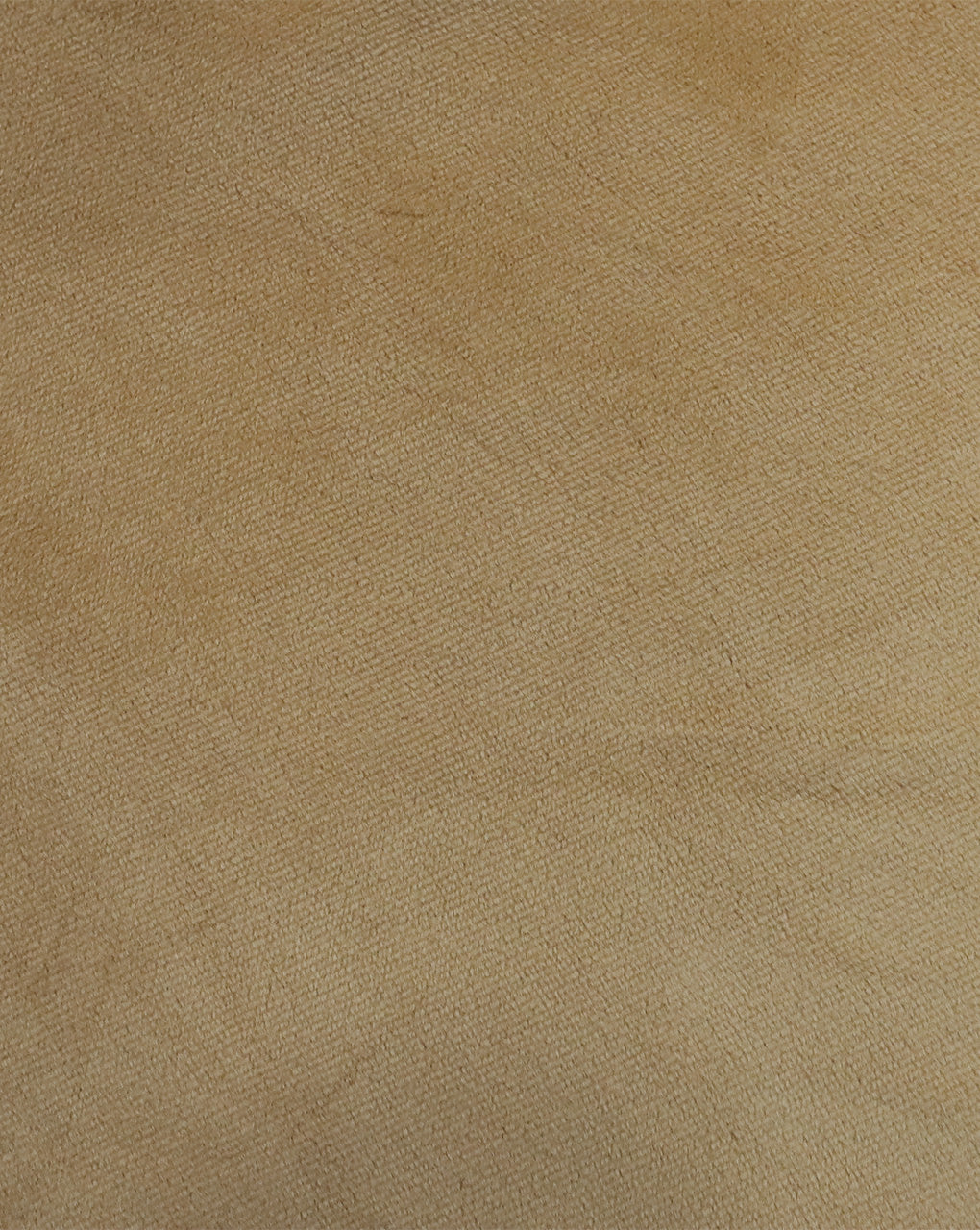BEIGE PLAIN VELVET LYCRA FABRIC 