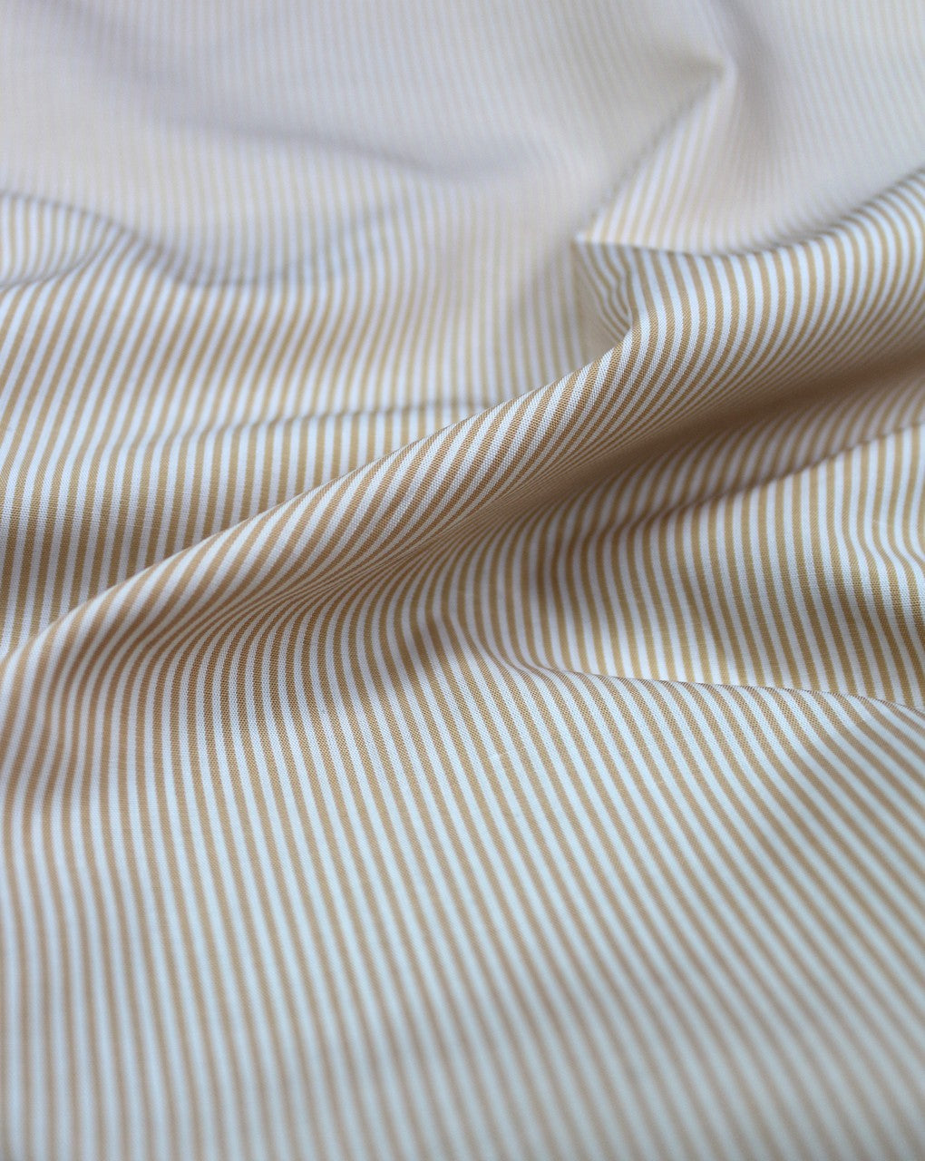 Cream Stripe Design Cotton Yarn Dyed Fabric